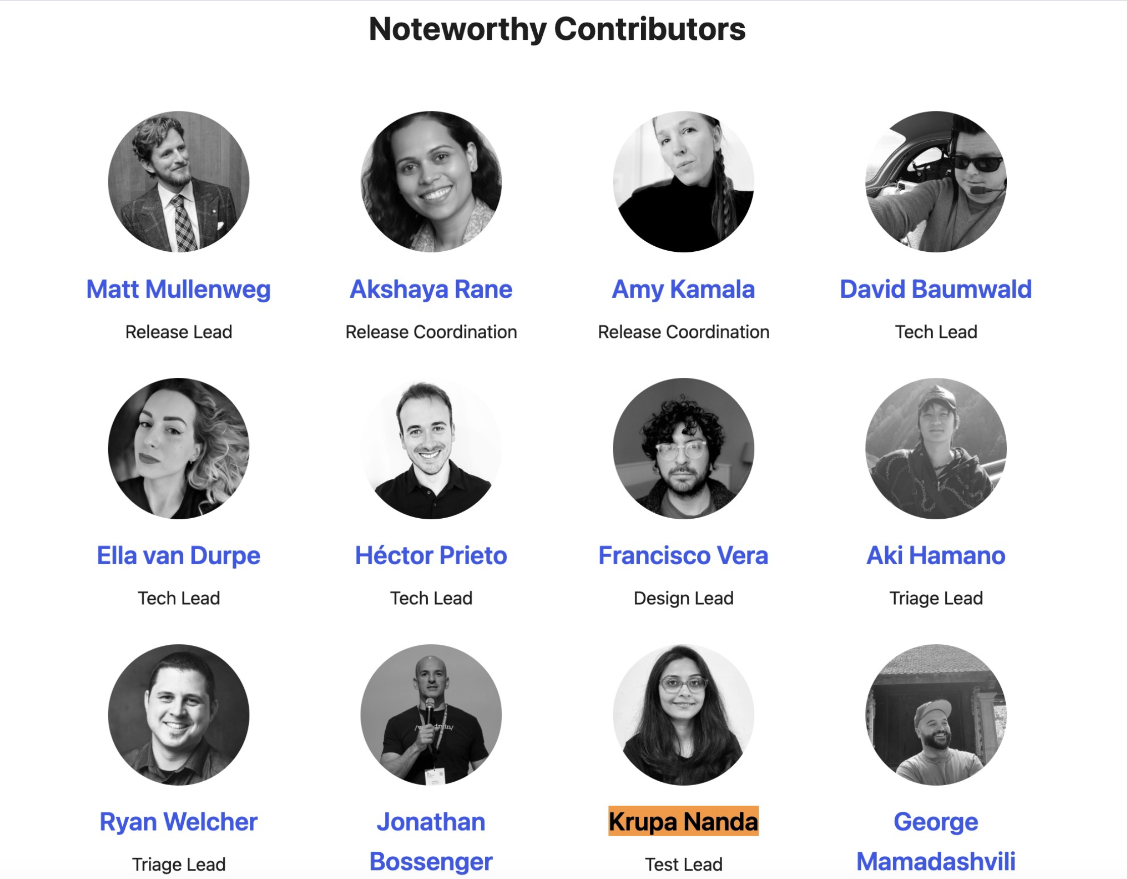 My Journey as Test Lead for WordPress: Growing, Learning, and Feeling Grateful